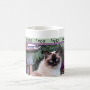 Ragdoll muggar