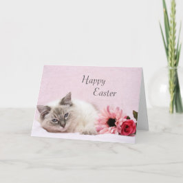 Ragdoll påskkort helgkort