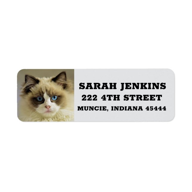 RAGDOLL PERSIAN CAT Big Returetiketters Returadress Etikett (Framsidan)