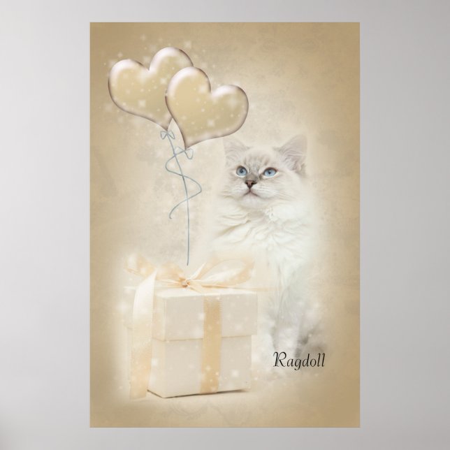 Ragdoll poster (Framsidan)