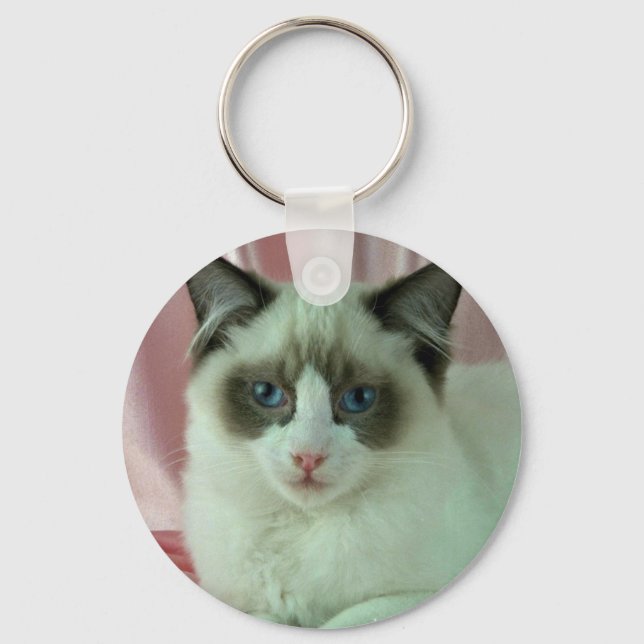 Ragdoll, sigill bi-färg nyckelring (Framsida)