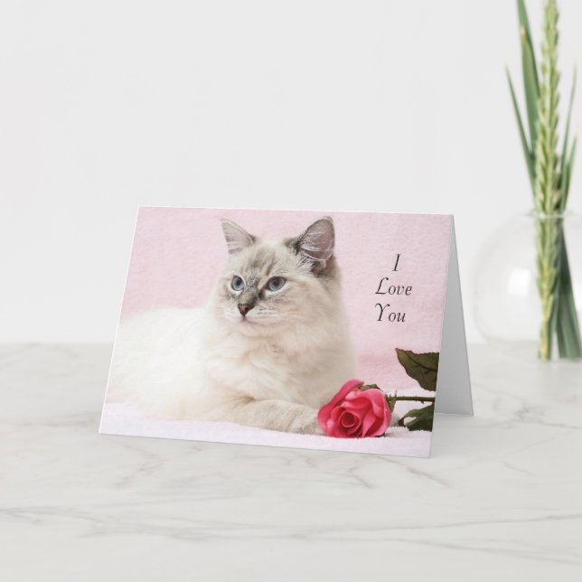 Ragdoll Valentine Card Helgkort (Framsida)