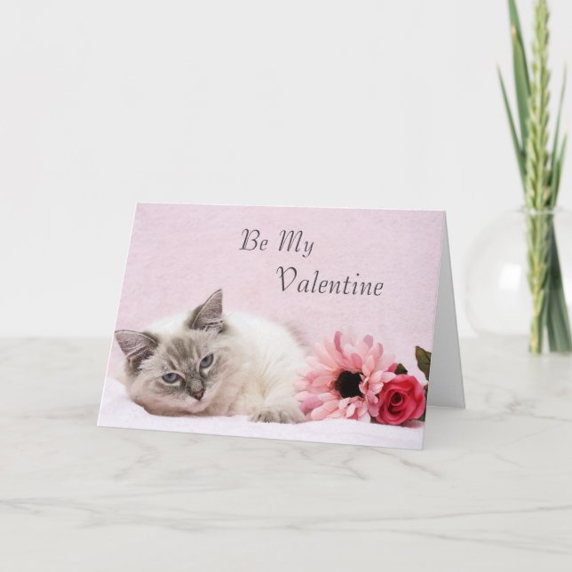 Ragdoll Valentine Card Helgkort (Framsida)