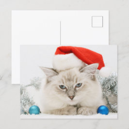 Ragdoll Wearing Santa Hat Vykort