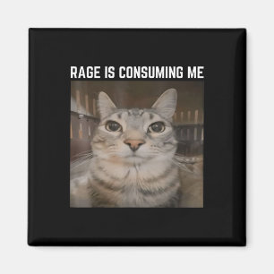 Rage antar att jag har en KAT-PM som är ganska spe Magnet
