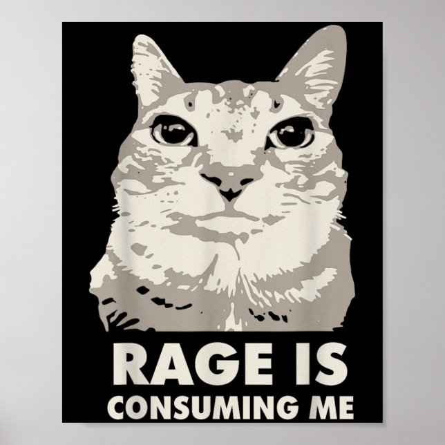 Rage konsumerar mig Arg Cat Meme Sarcasm Funny Poster (Framsidan)
