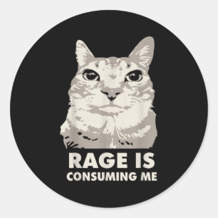 Rage konsumerar mig Arg Cat Meme Sarcasm Funny Runt Klistermärke