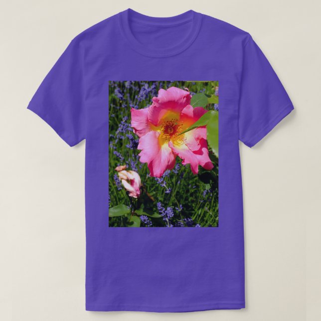 Ragged Rosa ros T Shirt (Design framsida)