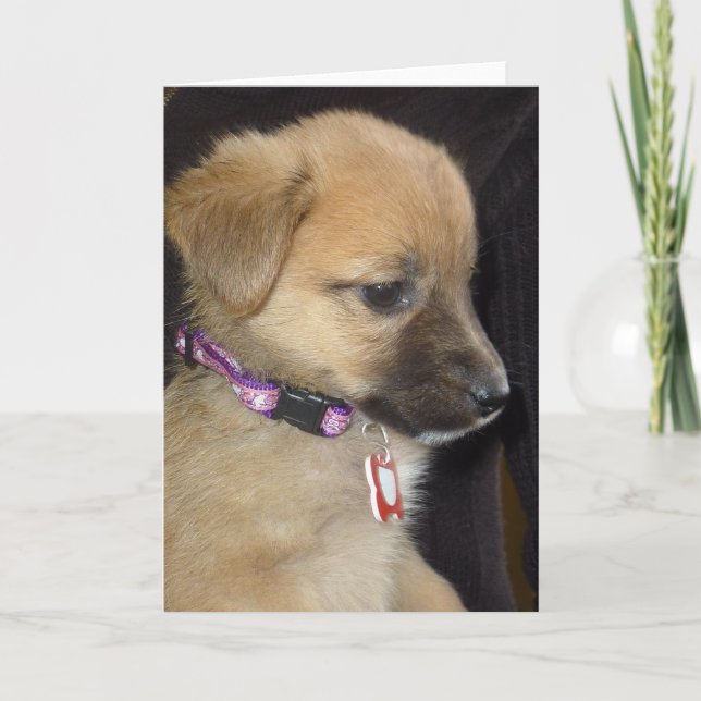 Rahja Kort (Framsida)