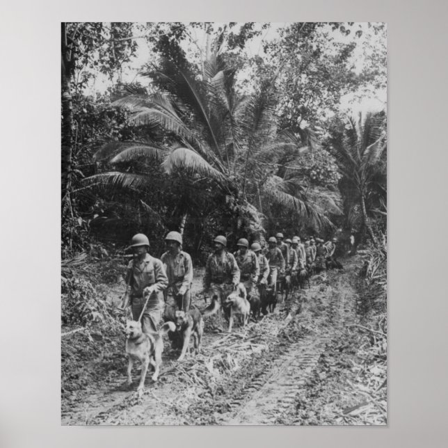 Raiders Poster (Framsidan)