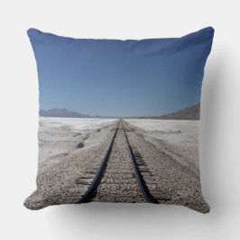 Rails in the White Desert Kudde