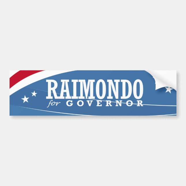 RAIMONDO FÖR REGULATORN 2014 BILDEKAL (Framsidan)