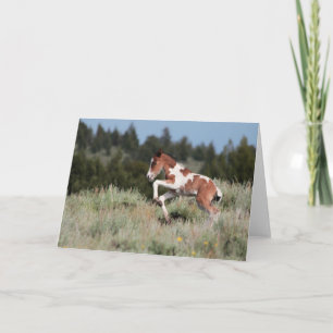 Rain Dance-hälsningskort Kort