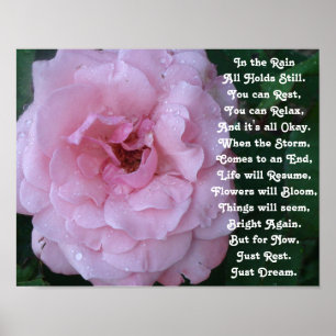 Rain Dikt på ett vackert Rosa ros med regndroppar Poster