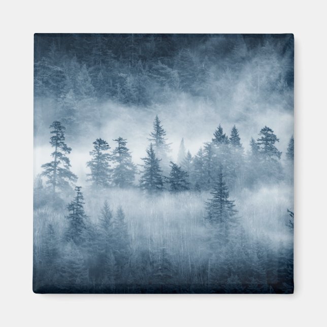 Rain Forest Clouds in Pacific Northwest Magnet (Framsidan)