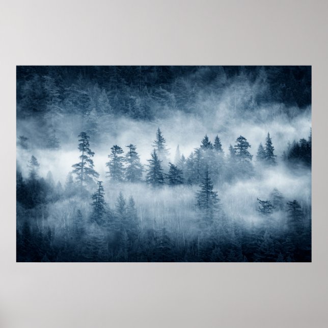 Rain Forest Clouds in Pacific Northwest Poster (Framsidan)