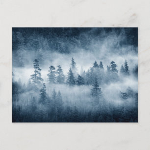 Rain Forest Clouds in Pacific Northwest Vykort