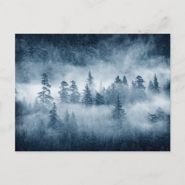 Rain Forest Clouds in Pacific Northwest Vykort (Framsida)