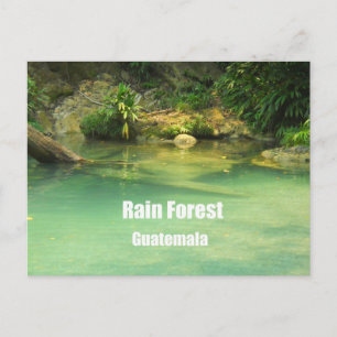 Rain Forest, Guatemala Vykort