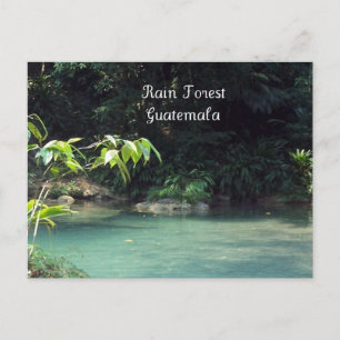 Rain Forest, Guatemala Vykort