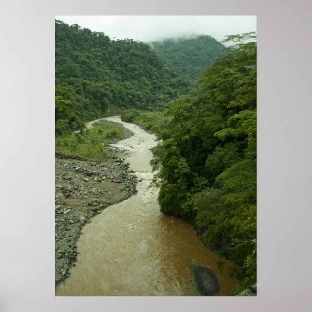 Rain Forest River Poster (Framsidan)