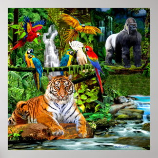 RAIN FOREST WILDLIFE POSTER