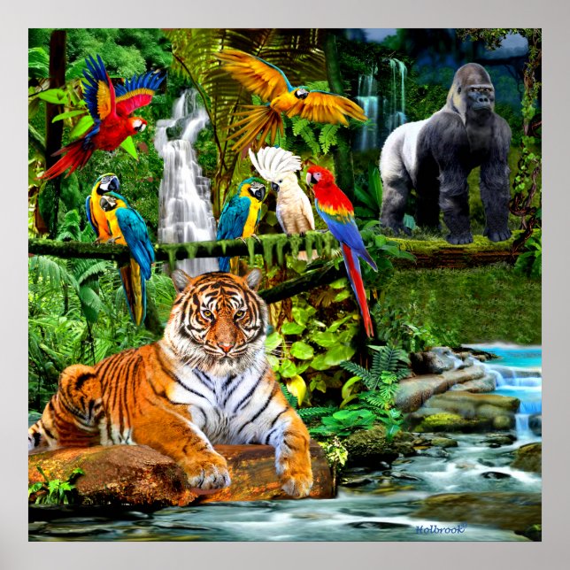 RAIN FOREST WILDLIFE POSTER (Framsidan)