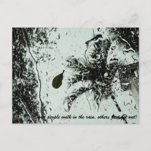 Rain i Florida Postcard Vykort