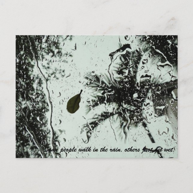 Rain i Florida Postcard Vykort (Framsida)