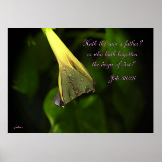 Rain på God morgon Glory - poster