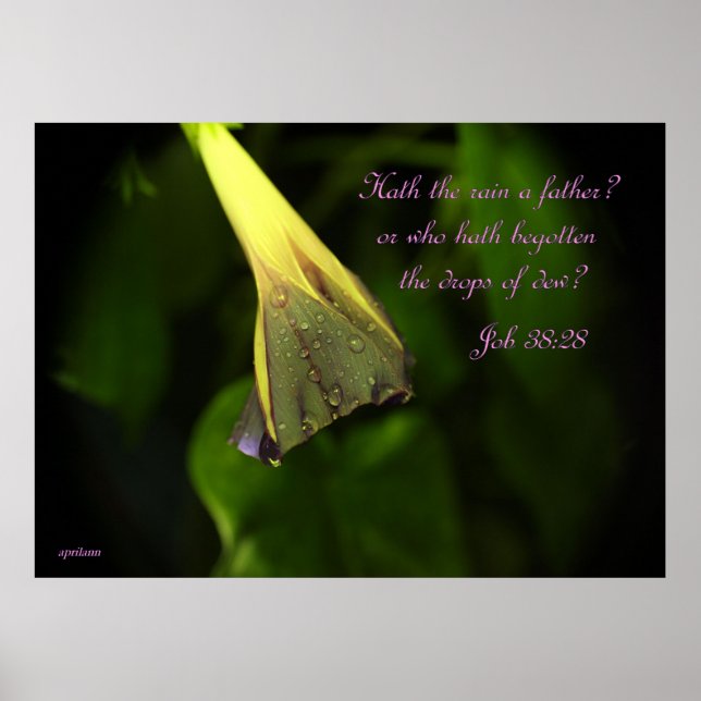 Rain på God morgon Glory - poster (Framsidan)