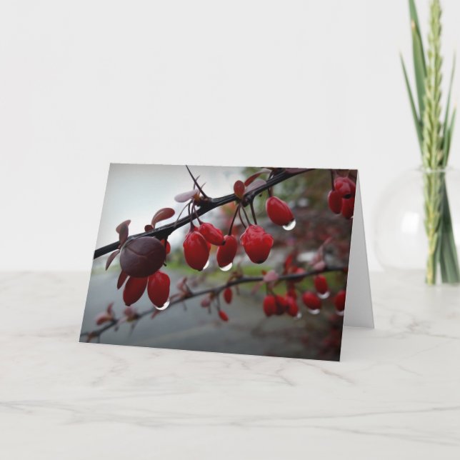 Rain på twig kort (Framsida)