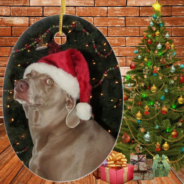 Rain the Weimaraner - a jul Ornament (Skapare uppladdad)