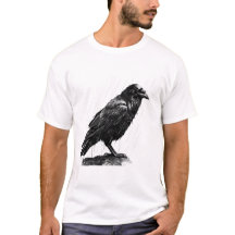 Rain Whispers, Raven Wisdom