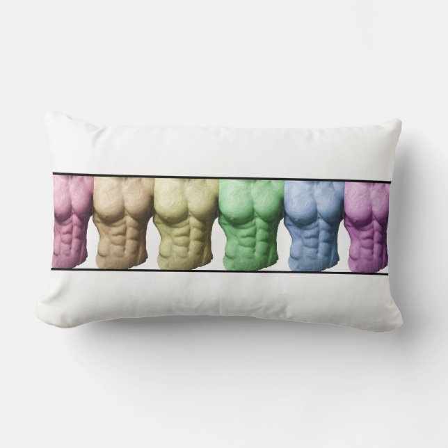 Rainbow Abs American MoJo Pillows Lumbarkudde (Framsida)