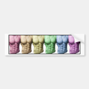 Rainbow Abs Bildekal
