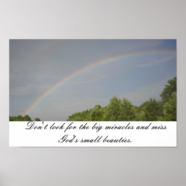 Rainbow Beauties Poster (Framsidan)