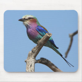Rainbow Bird Mouse Pad Musmatta
