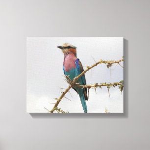 Rainbow Bird Photo Canvastryck