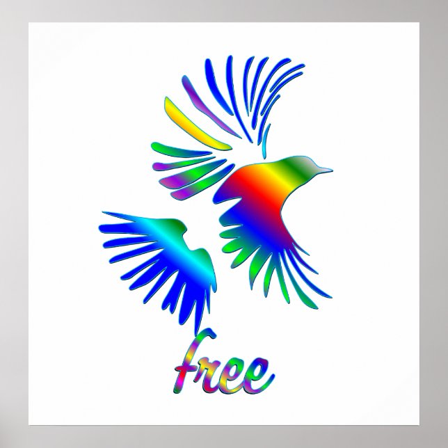 Rainbow Bird Poster (Framsidan)