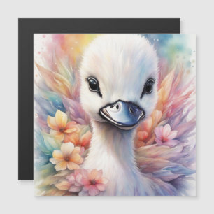 Rainbow Birds Svan 2