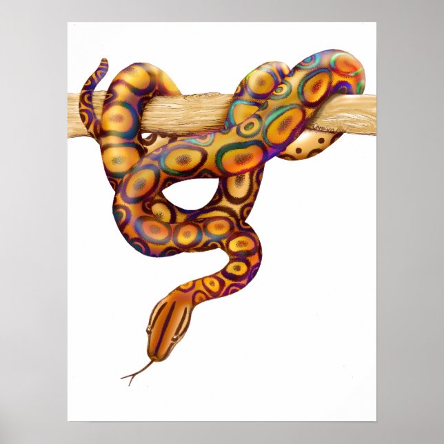 Rainbow Boa Snake Print Poster (Framsidan)