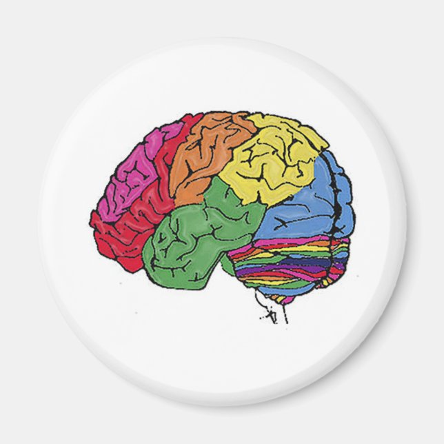 Rainbow Brain Magnet (Framsidan)