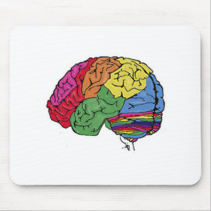 Rainbow Brain Musmatta
