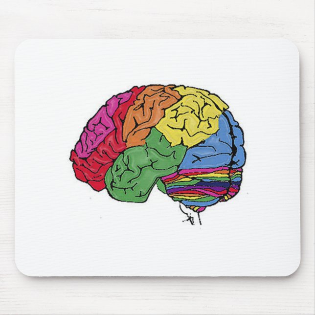 Rainbow Brain Musmatta (Framsidan)