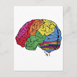 Rainbow Brain Vykort