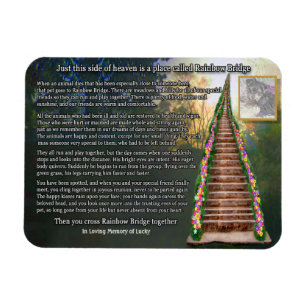 Rainbow Bridge Anpassade Photo Magnet