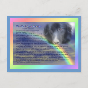 Rainbow Bridge Dikt Pet Loss Sympathy Vykort