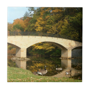 Rainbow Bridge i Fall på Grove City College Kakelplatta