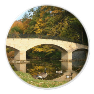 Rainbow Bridge i Fall på Grove City College Knopp